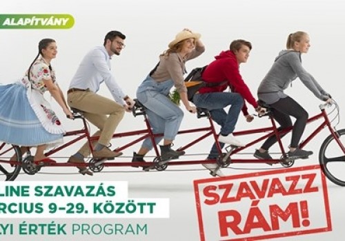  Közel 100 éves dió fasor
